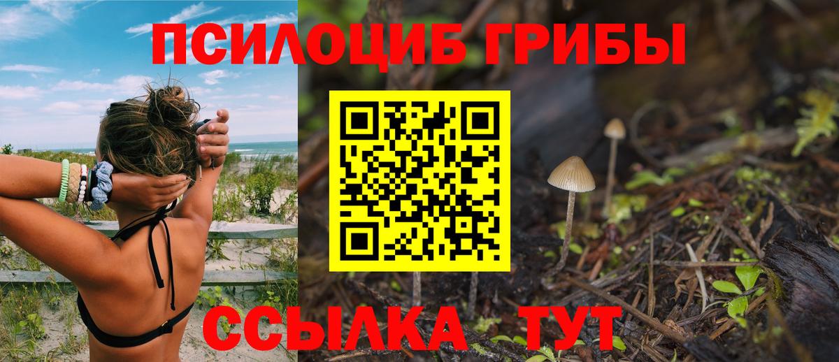 Сунжа  Псилоцибиновые грибы Psilocybine cubensis  Псилоцибиновые грибы MAGIC MUSHROOMS  Вход с VPN 