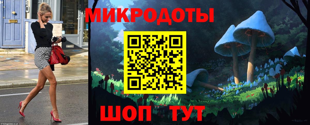 Псилоцибиновые грибы прущие грибы Сунжа